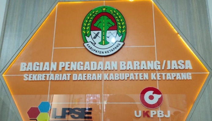 Ketua LPSE 