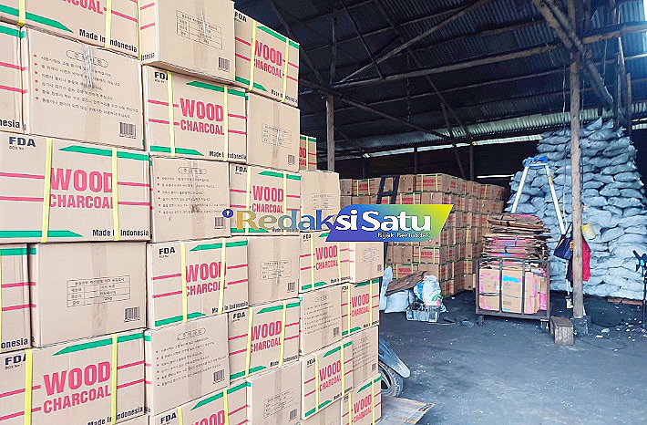 CV New Born Borneo 