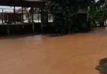 Banjir Meluap Kota Padang Lumpuh Meluap