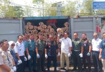 Publik Minta Bea Cukai Kalbagbar Jangan Lindungi Cukong Penyelundup Rotan ke Tiongkok Bea