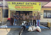 Kapolsek Pondok Suguh Ipda Freddy Silaen Gercep Tangkap Pencuri Sawit kapolsek