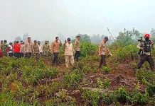 Presiden Prabowo, Panglima TNI dan Kapolri Turun Langsung ke Lokasi Karhutla di Kalbar Presiden Prabowo