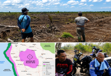 Merubah Kawasan Hutan Terjadi di Tapan, Gakum Harus Turun Tangan Hutan